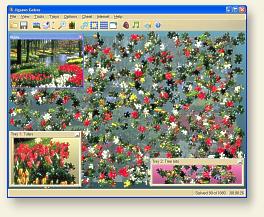 Expert solvers click here